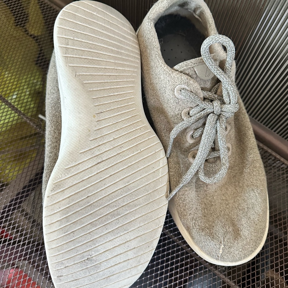 AllBirds wool sneakers